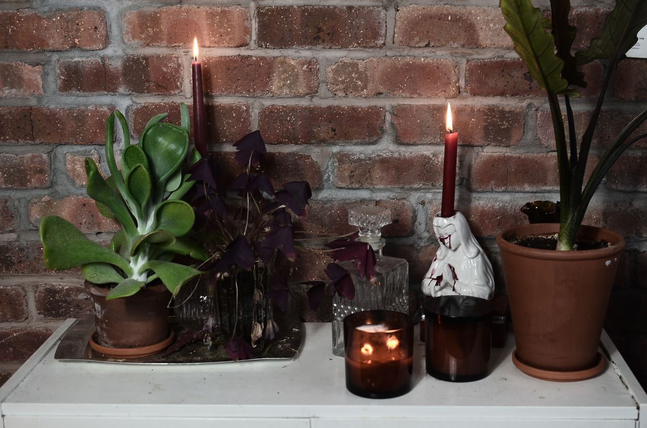 Rose & Oud candle